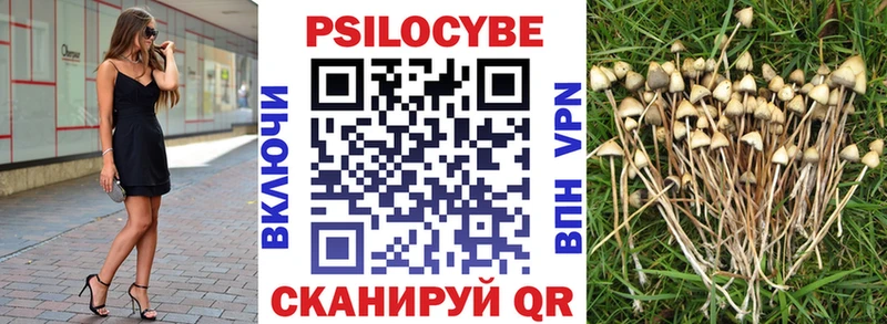 Купить закладки  Кемерово  Галлюциногенные грибы Magic Shrooms 